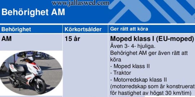 AM Behörighet Moped